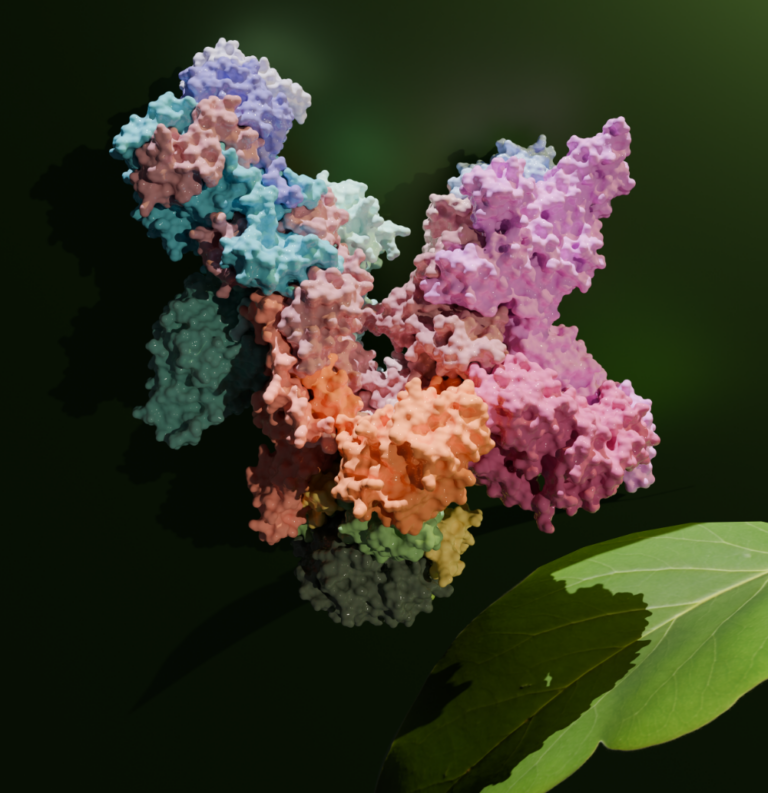 Paper on the Chloroplast RNA polymerase structure published